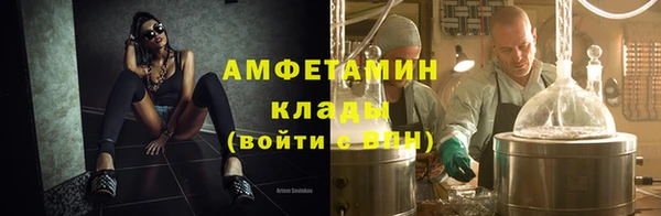 гидра Богородицк