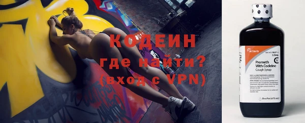 гидра Богородицк