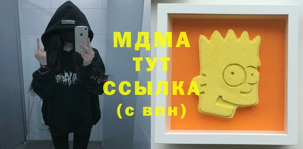 гидра Богородицк