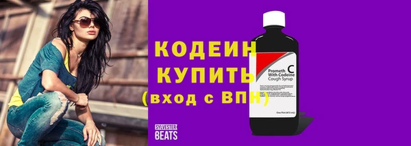 гидра Богородицк