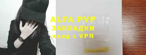 гидра Богородицк