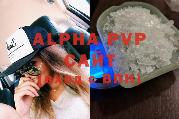 эйфоретик Богданович
