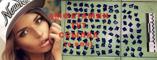 гидра Богородицк