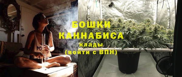 гидра Богородицк