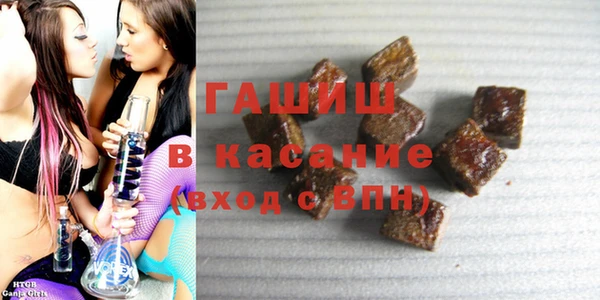 гидра Богородицк