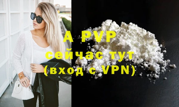 гидра Богородицк