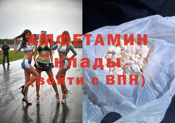 гидра Богородицк